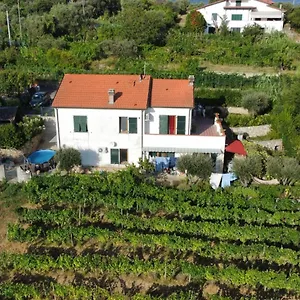 In Vino Veritas , Arcola Italia